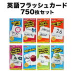 フラッシュカード 英語 750枚セット 【特典付 送料無料】 知育おもちゃ 英語カード 英語教材 子供英語 子供 幼児英語 幼児 子ども 小学生フラッシュ カード 英単語 知育玩具 おもちゃ おしゃれ 英語教室 2歳 3歳 4歳 5歳 6歳 ゲーム