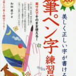 美しく正しい字が書ける筆ペン字練習帳／和田康子【1000円以上送料無料】