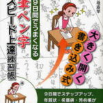 9日間でうまくなる筆ペン字スピード上達練習帳[本/雑誌] 大きく開く書き込み式 (単行本・ムック) / 宮地露翠/著