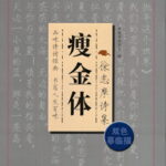 徐志摩詩集　痩金体　ペン字美文字　なぞり書き練習帳　中国語書道