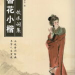 飲水詞集　花簪小楷　なぞり書き練習帳　ペン字美文字　中国語書道