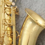 Yanagisawa T-WO 10“Heavy Model” 【新品】【サキソフォン・ラボ】