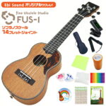 ウクレレ アリア FUS-1 スペシャル12点セット弦高調整済 (甘い音色)(ソプラノスケール14Fジョイント)(EbiSoundオリジナル)(u)